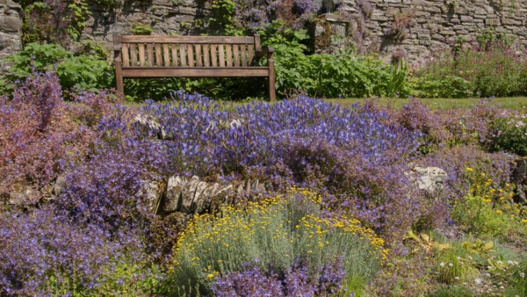 Planning a droughtproof garden for 2027 - image