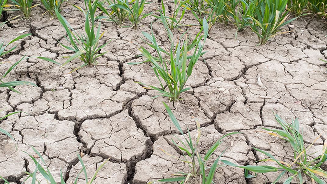 How long does it take for rain to refill water resources?- image