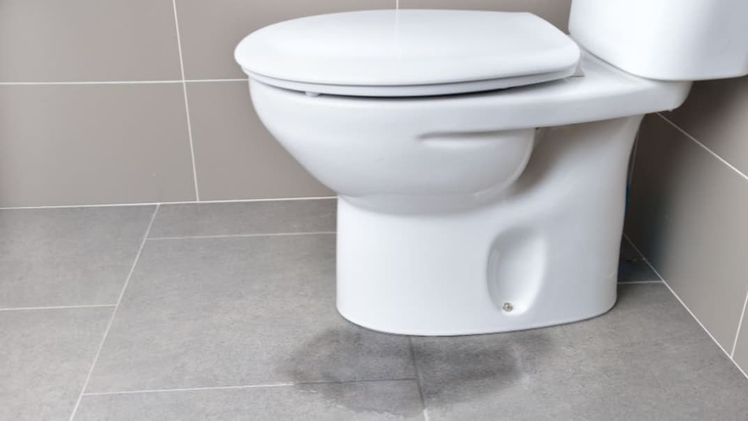 SES Water encourages households to check for hidden toilet leaks - image