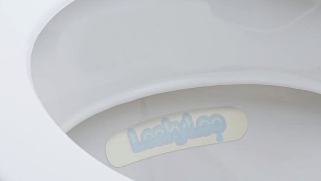 SES Water marks Water Saving Week with a quick and easy toilet test to check for hidden leaks - image