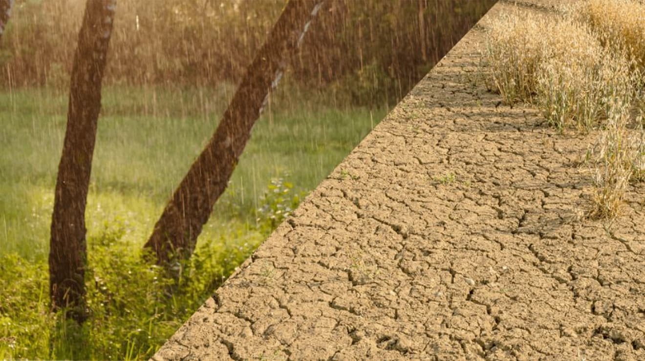 Graphic of rain on one side and dry mud on the other side